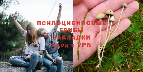 стафф Балабаново