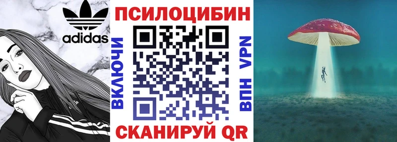 KRAKEN ссылка  Пойковский  Галлюциногенные грибы ЛСД  купить  цена 